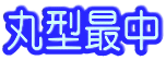 �ی^�Œ�