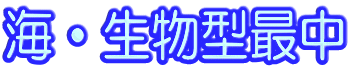 �C�E�����^�Œ�