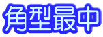 �p�^�Œ�