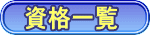 ���i�ꗗ 