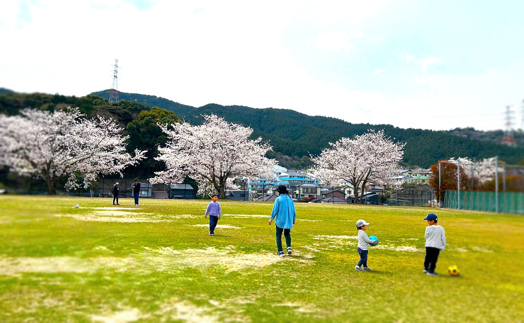 芝生であそぼうの写真